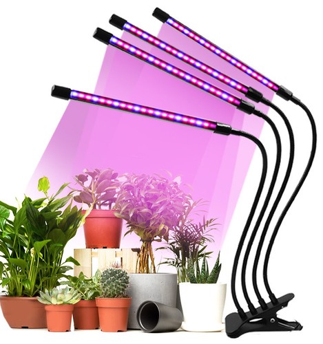 Heads led grow - 4, plant